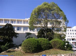 神戸海星病院での日常風景の画像03