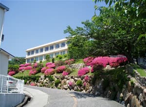 神戸海星病院での日常風景の画像29