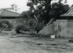 神戸海星病院での当時の様子1960年代の画像06