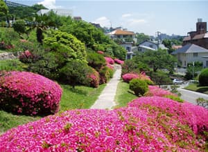 神戸海星病院での日常風景の画像31