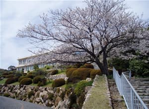 神戸海星病院での日常風景の画像46