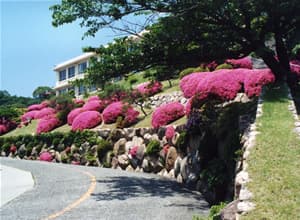 神戸海星病院での日常風景の画像74