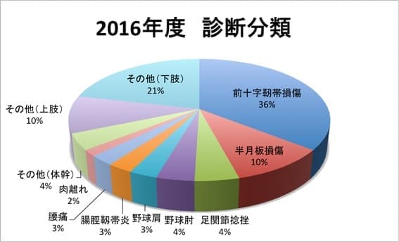 2016年度診断分類図